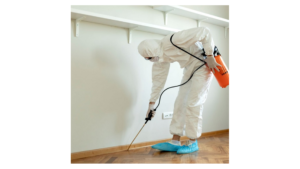 شركة مكافحة حشرات